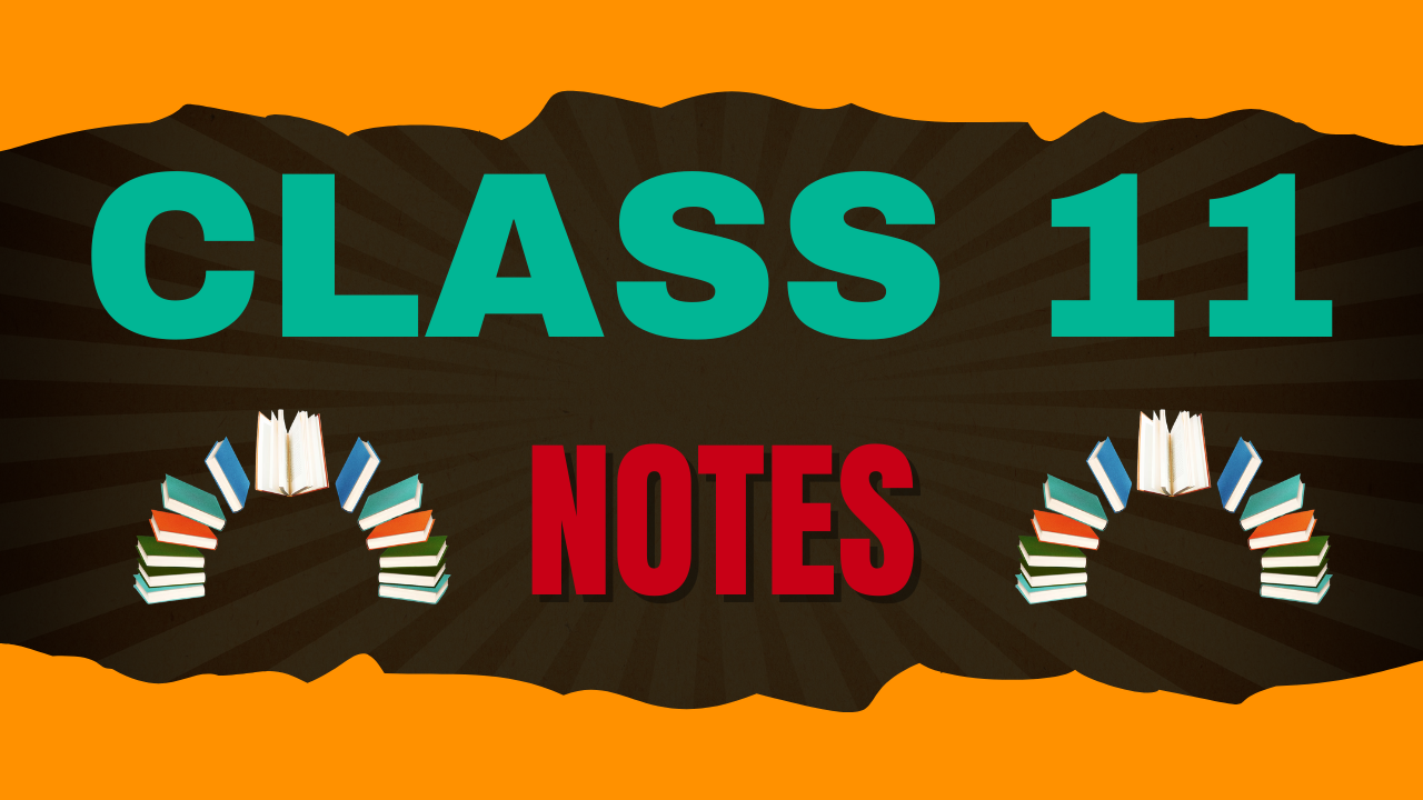 Class 11